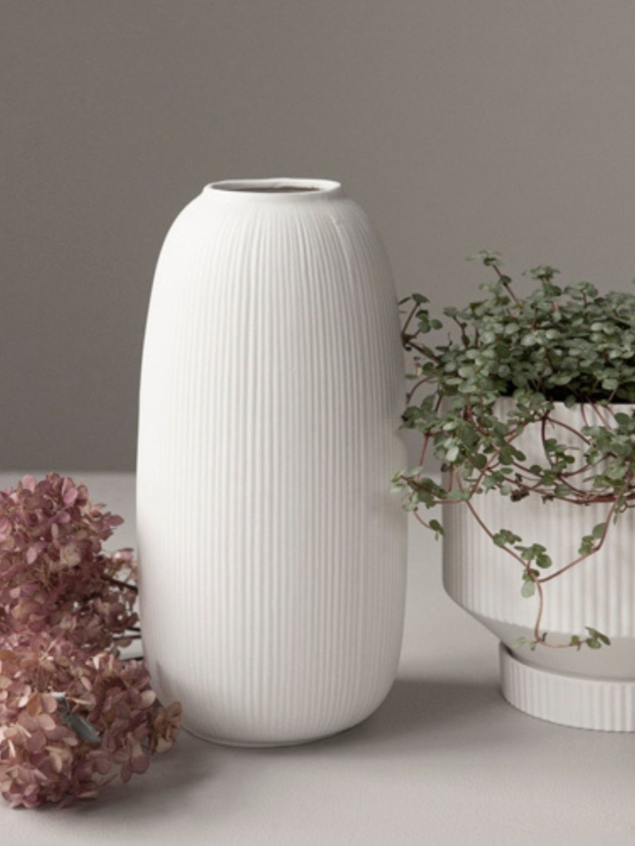 Tall White Ribbed Vase - Stanley and Floyd
